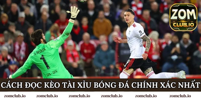 Cách đọc kèo tài xỉu bóng đá chính xác nhất