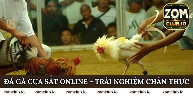 Đá gà cựa sắt online mang đến trải nghiệm chân thực