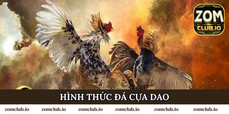 Hình thức đá cựa dao tại trường gà Thomo