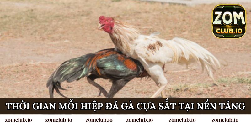 Thời gian mỗi hiệp đá gà cựa sắt tại nền tảng